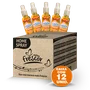 Aromatizador de Ambientes Spray Laranja | Novo Frescor 120ml