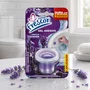 Gel Adesivo Sanitário Lavanda Novo Frescor | 1 aplicação | com Aplicador | 7g | Caixa com 48unidades