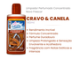 Limpador Perfumado Concentrado Cravo & Canela 140ml caixa c/12un
