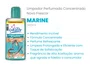 Limpador Perfumado Concentrado Marine | Caixa com 12 unidades | 140ml